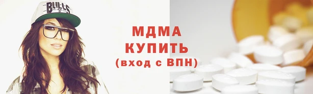 шишки Абаза